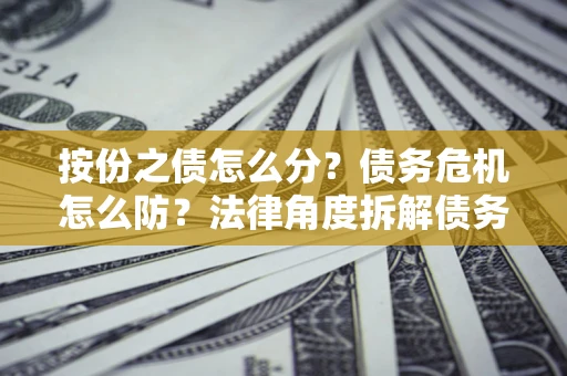 武汉按份之债怎么分？债务危机怎么防？法律角度拆解债务分配与风险自保指南