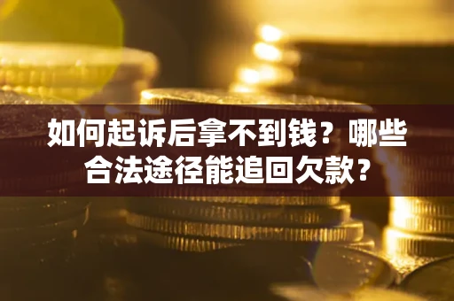 武汉如何起诉后拿不到钱？哪些合法途径能追回欠款？