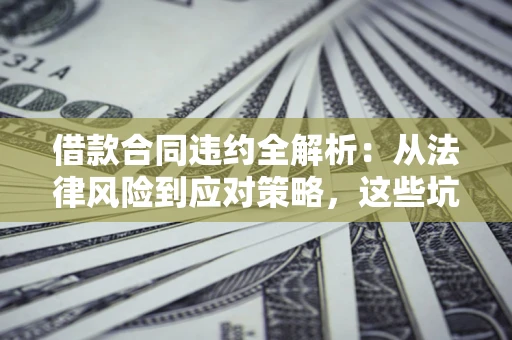 武汉借款合同违约全解析：从法律风险到应对策略，这些坑别再踩！