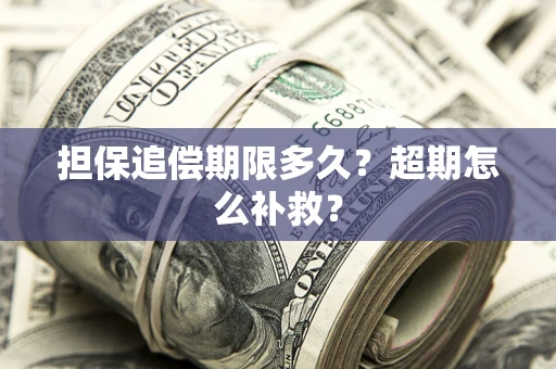 武汉担保追偿期限多久？超期怎么补救？