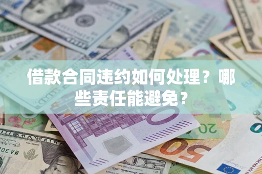 武汉借款合同违约如何处理？哪些责任能避免？