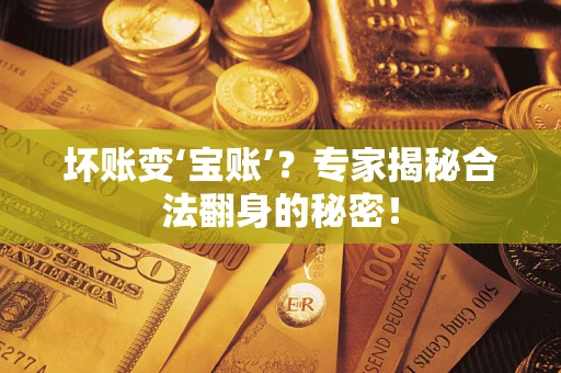 武汉坏账变‘宝账’？专家揭秘合法翻身的秘密！