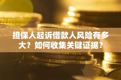 武汉担保人起诉借款人风险有多大？如何收集关键证据？