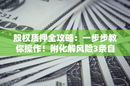 武汉股权质押全攻略：一步步教你操作！附化解风险3条自救法则