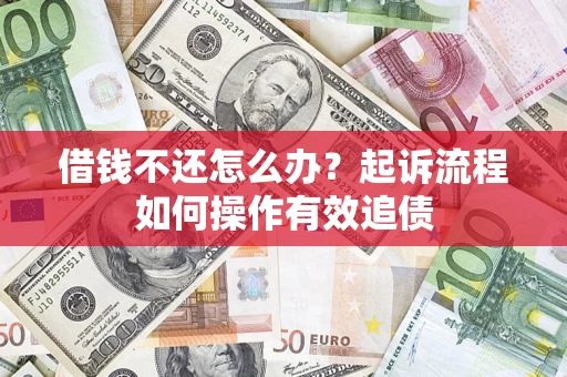 武汉借钱不还怎么办？起诉流程如何操作有效追债