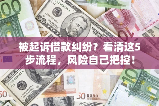 武汉被起诉借款纠纷？看清这5步流程，风险自己把控！