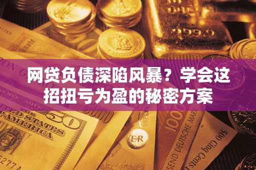 武汉网贷负债深陷风暴？学会这招扭亏为盈的秘密方案
