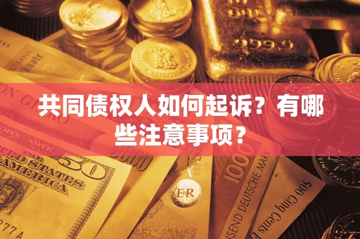 武汉共同债权人如何起诉？有哪些注意事项？